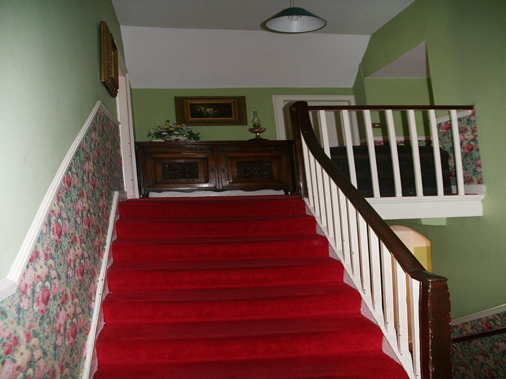 Muxnaw Lodge Kenmare Zewnętrze zdjęcie